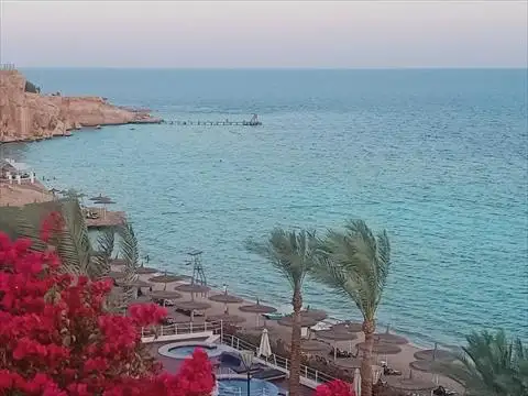 شركات السياحة تحذر من تغول الكيانات غير شرعية فى السوق السياحى