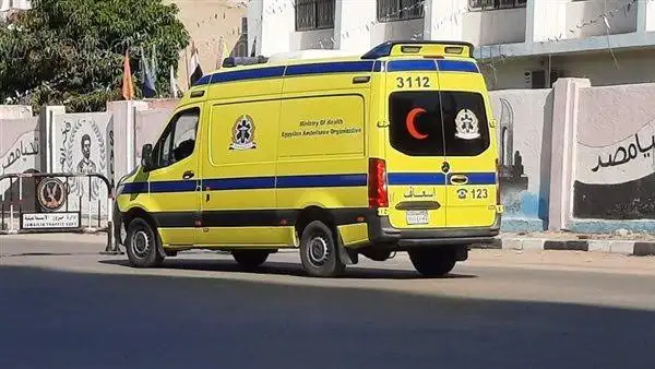 العثور على جثة متحللة لستيني في قرية الصعايدة بالأقصر