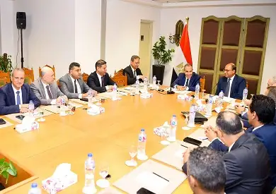 وزير الخارجية: التحديات التي تواجهها مصر تستوجب اصطفافا وطنيا
