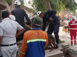 الحماية المدنية تستعين بكلاب بوليسية للبحث عن أحياء تحت أنقاض عقار النزهة المنهار