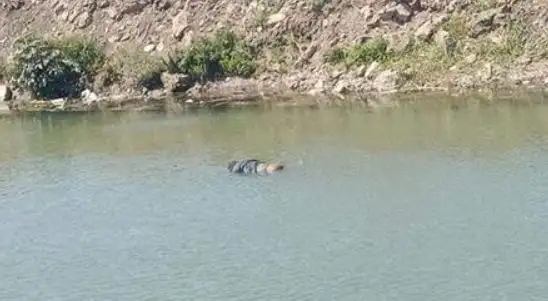 غرق طالب في مياه النيل بمنطقة الحوامدية