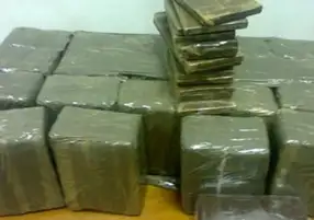 ضبط 3 أشخاص لاتهامهم بحيازة 56 كيلو حشيش مخدر في الإسكندرية