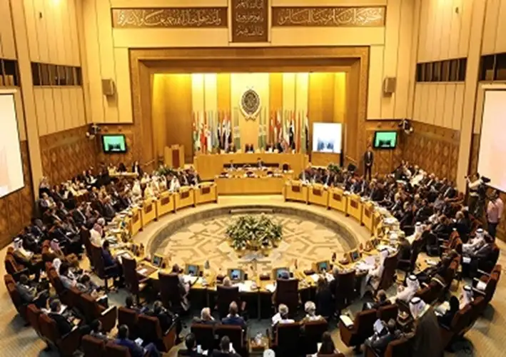 رئيس زراعة النواب: أسعار الدواجن والبيض تشهد انخفاضا 20% على الأقل حاليا