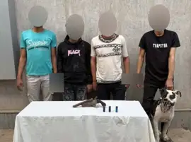 كشف ملابسات فيديو مشاجرة الأسلحة النارية بالجيزة