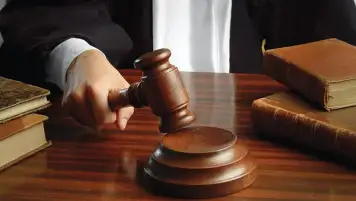 إحالة أوراق المتهمة بقتل ابنتها الرضيعة في البحيرة إلى المفتي