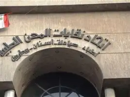 تشكيل هيئة مكتب اتحاد المهن الطبية: القاضي أمينا عاما والحسيني لأمانة الصندوق