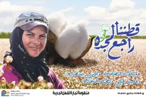 فتح محالج "القابضة للغزل" لتجميع الأقطان من المتأخرين عن التوريد حتى منتصف فبراير 2022
